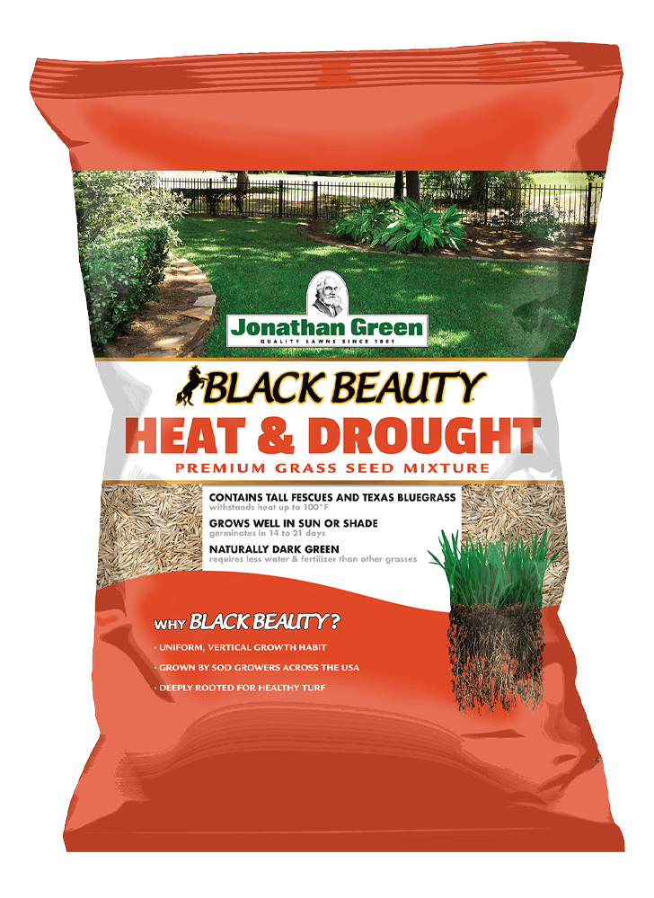 Jonathan Green Black Beauty Heat & Drought Resistant