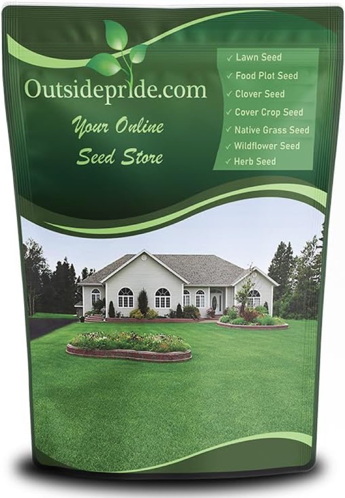 Outsidepride Sundancer Buffalograss Seed (2 lb)